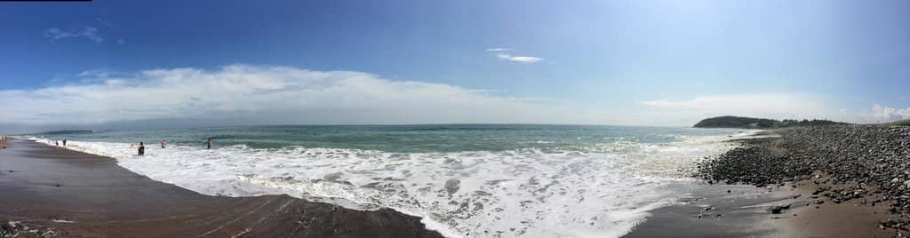 Salt Marsh Trail Exploration