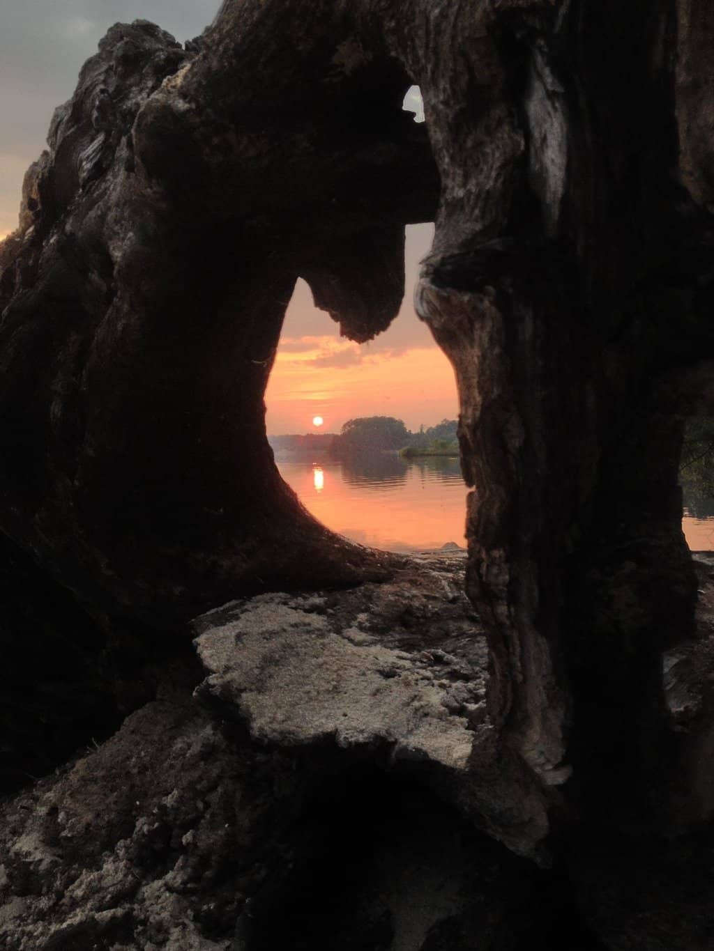 Vertical photo