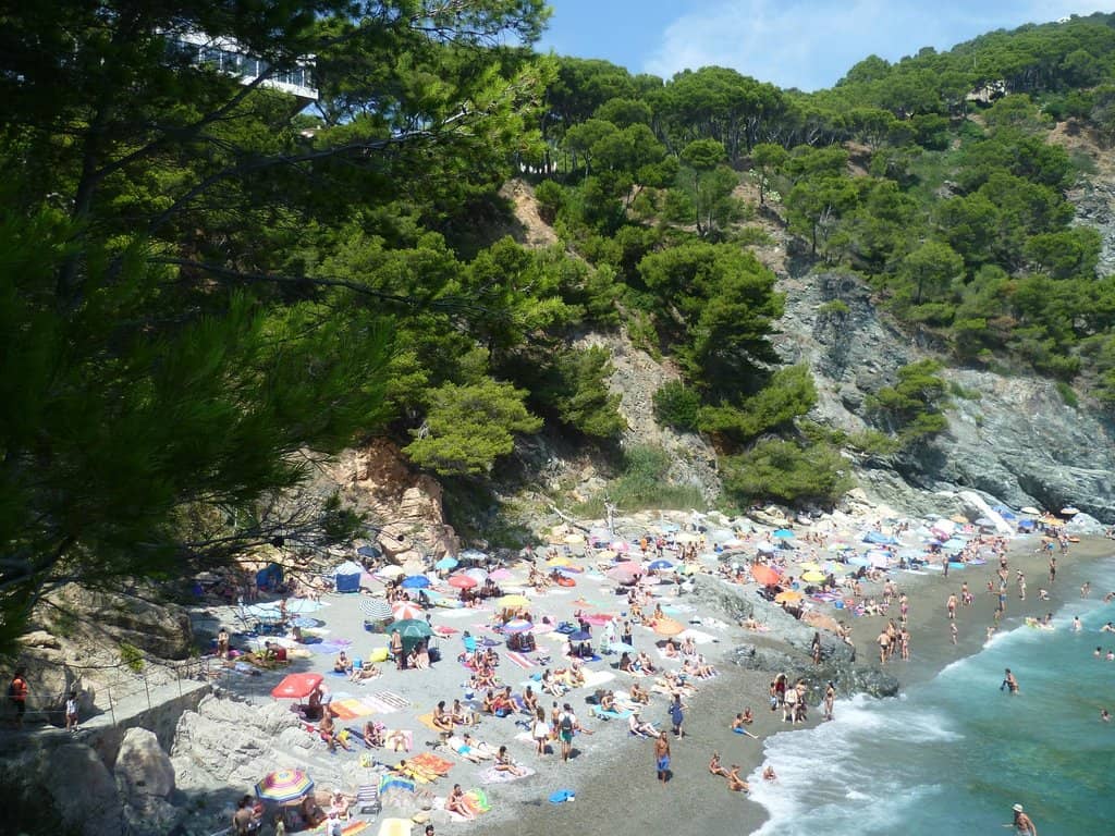 Cliff Jumping Thrills