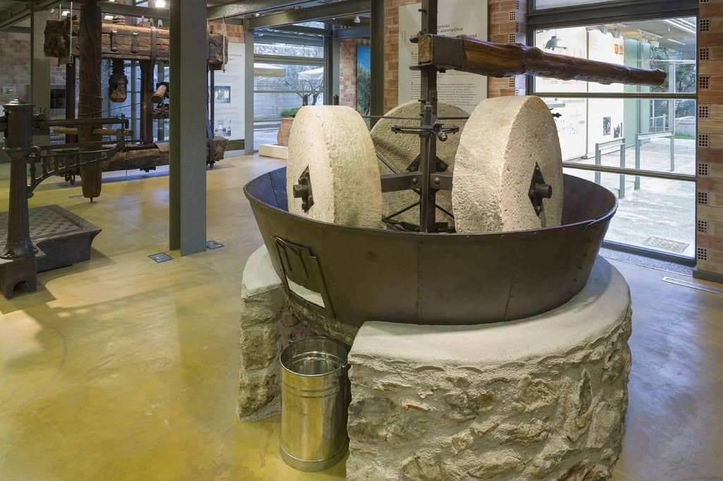 Guided Olive Oil Tasting