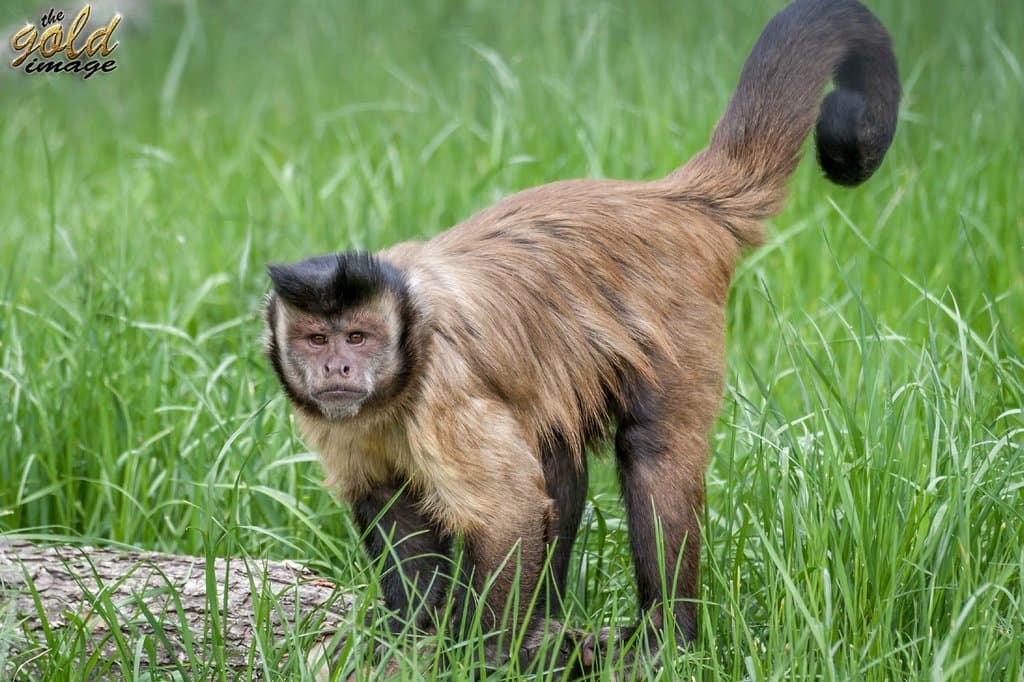 At Zoo Oradea