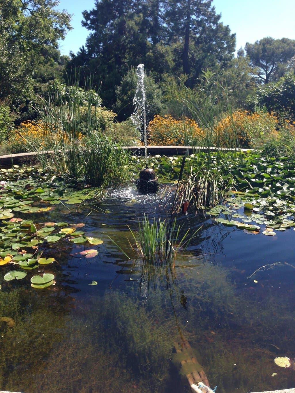 Jardin