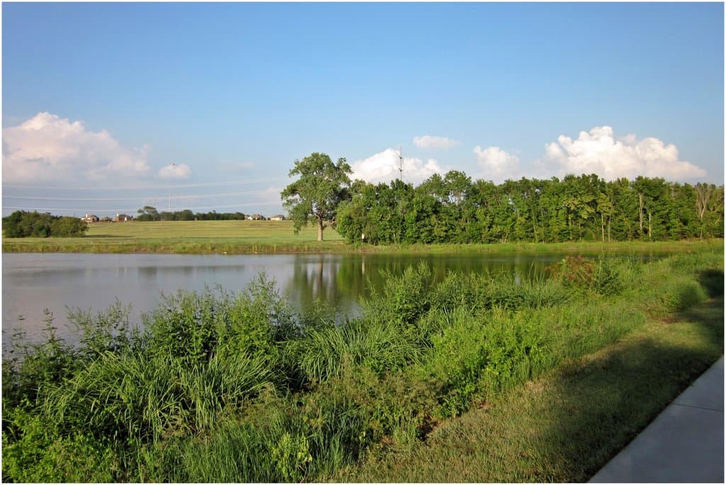 Pond at the Oak Point Nature Preserve