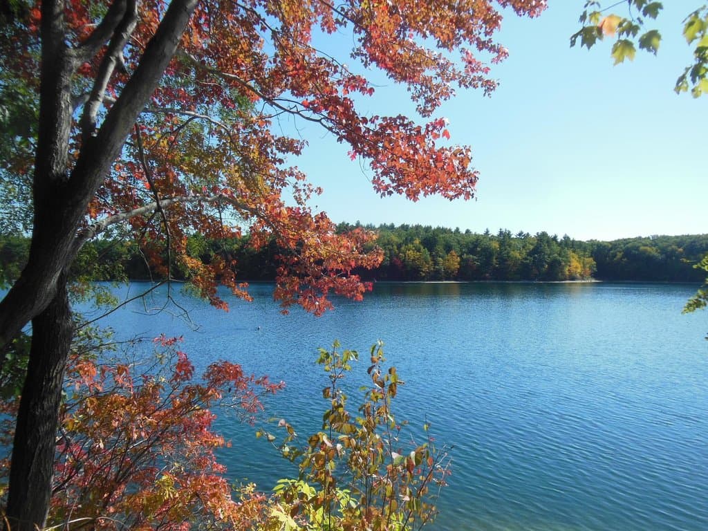 Walden Pond is an Idyllic Spot