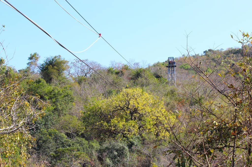 Expert & Friendly Guides