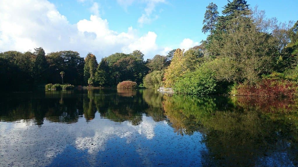 Brynmill lake