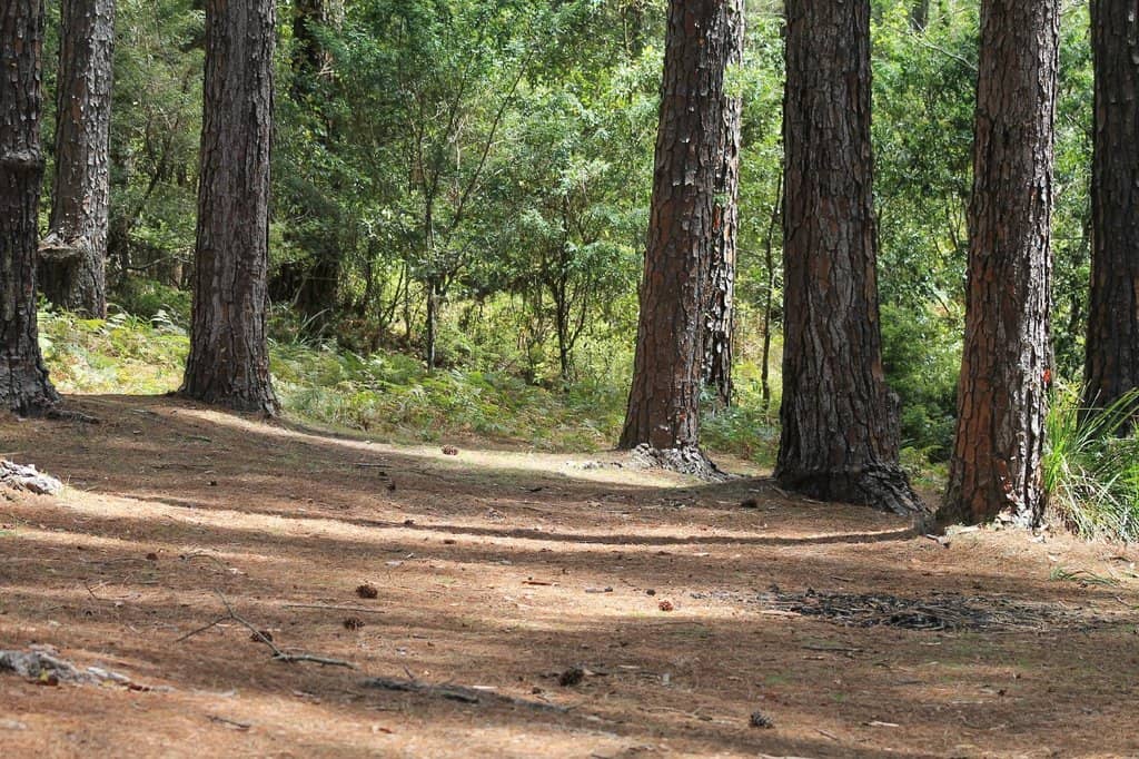 Campsites