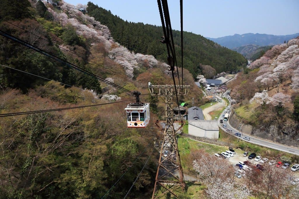 ロープウェイからの車窓