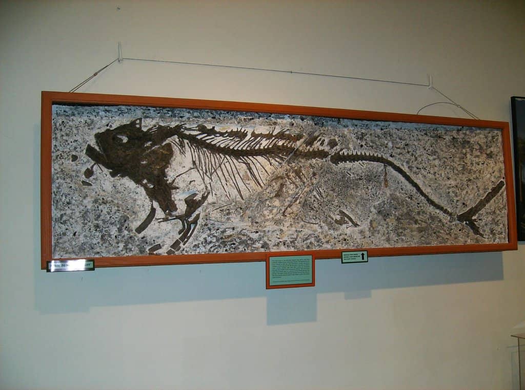 Local Geological Wonders