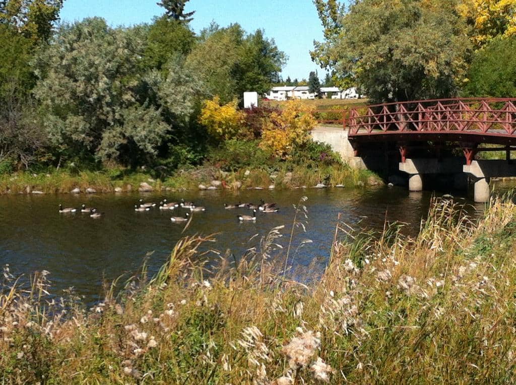 Splash Pad & Play Area