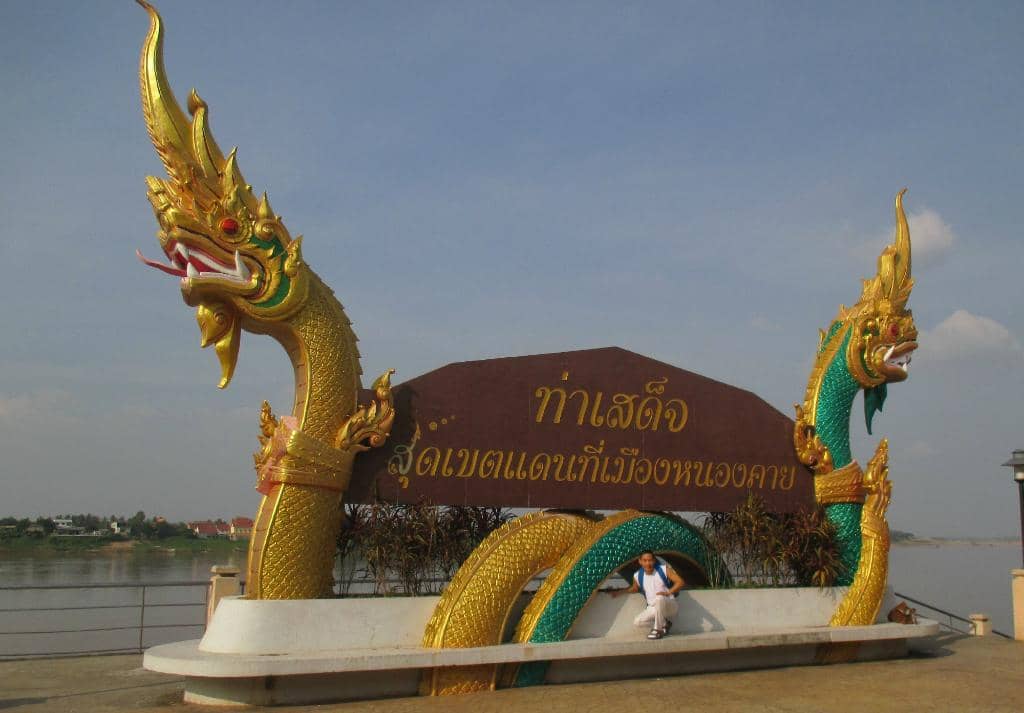 Street Food Delights