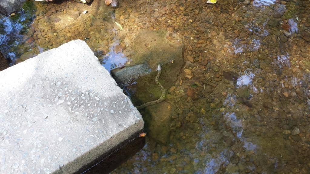 Woodlands Stewardship Education Center