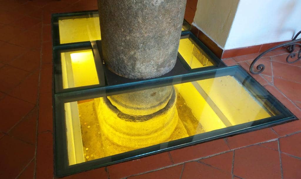 Signature Pisan Tripe