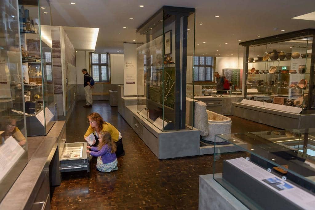 Mummified Cat & Skeletons