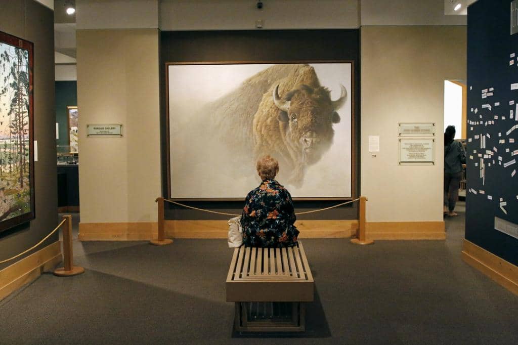 Temporary Exhibitions