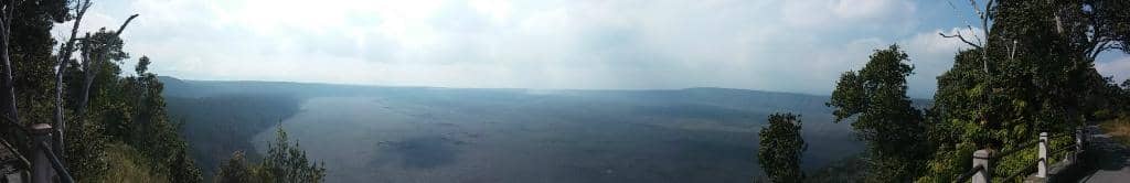 Lush Rainforest Transition