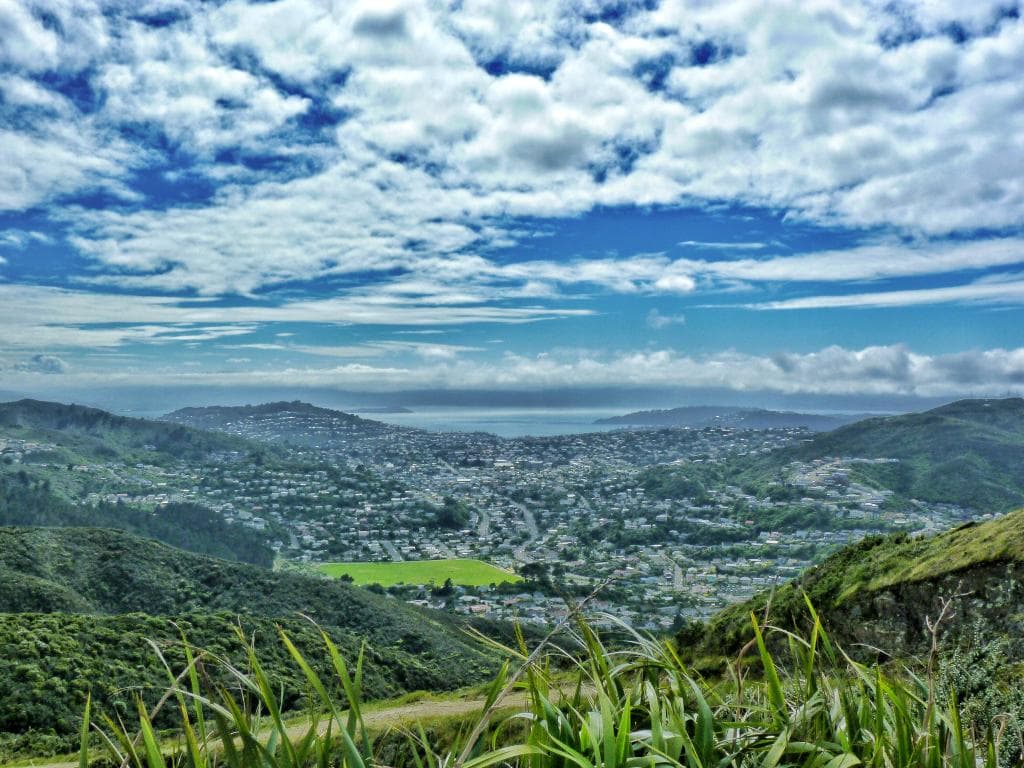 view from the top of the peak