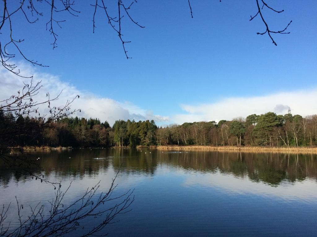 Overlooking the lake