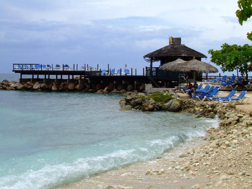 Bird Aviary & Mini Zoo