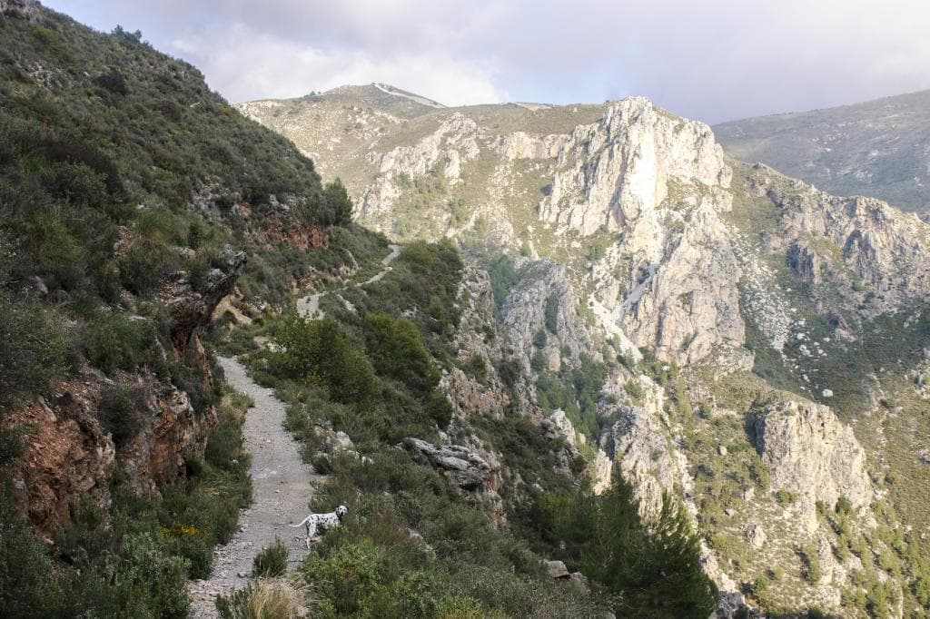 El sendero