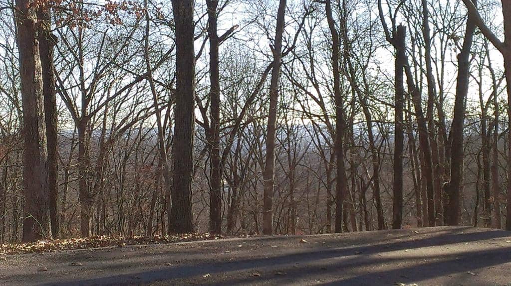Scenic Overlook Trail