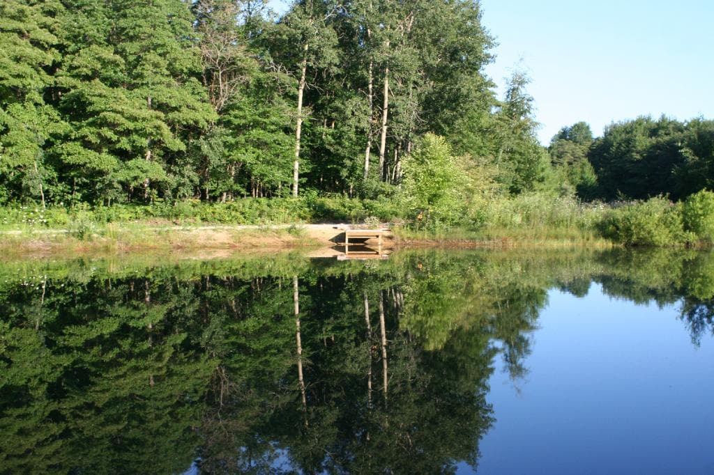 Catch and release fishing pond