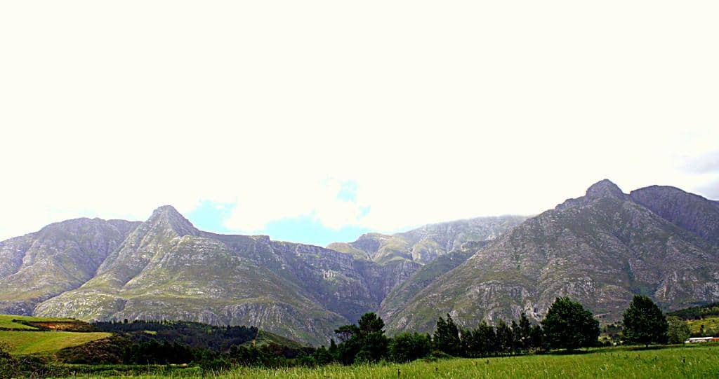 Artisanal Liqueur Tasting