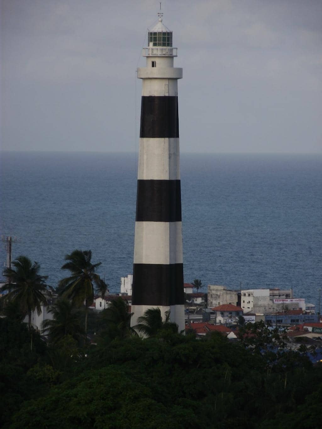 Lively Tapioca Stalls