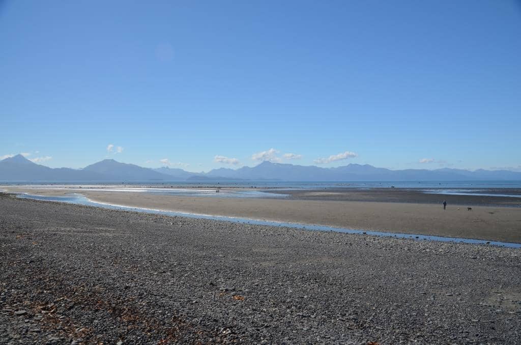 Sea Star Discoveries