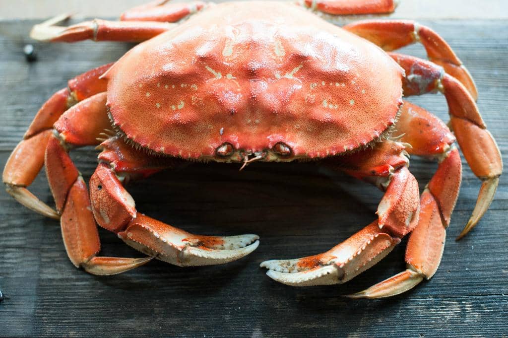 Diverse Gourmet Seafood Menu