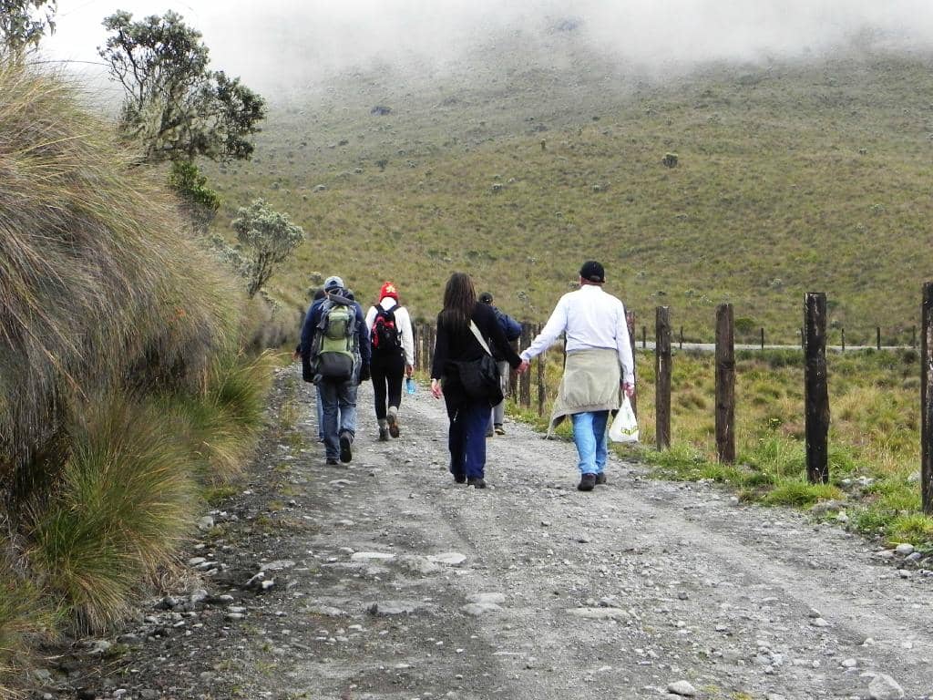 Frailejones Guardians