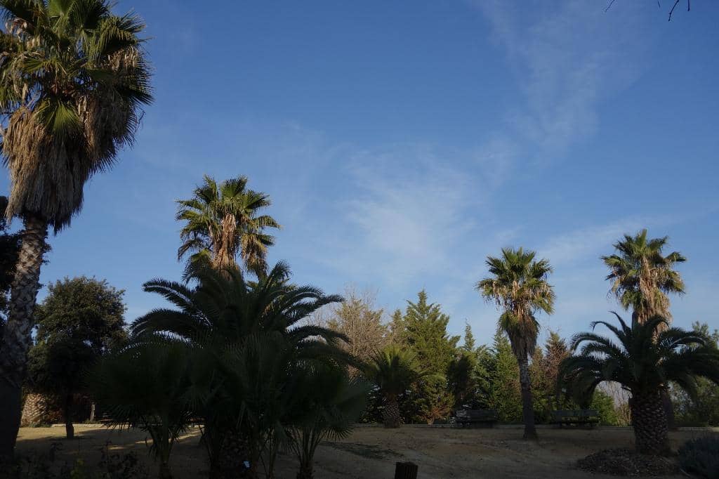 Panoramic City Views