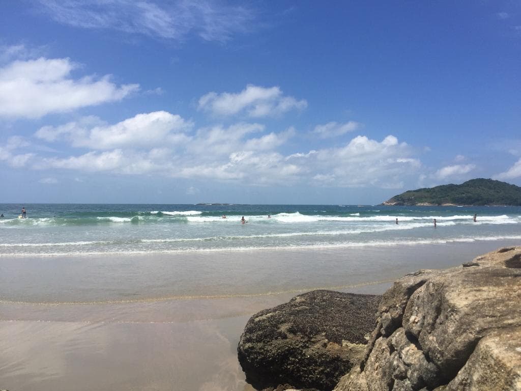 Paia de Pernambuco.
