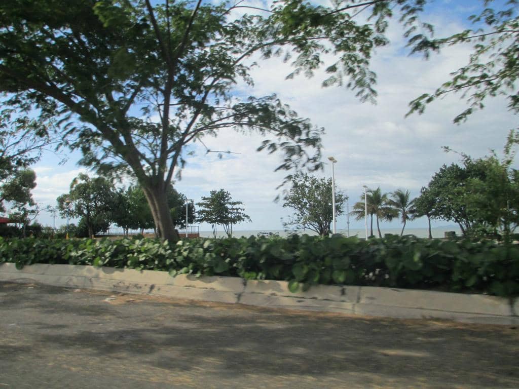 Playground & Skate Park