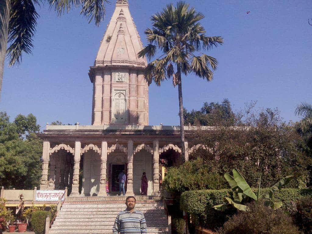 Rudraksh Tree