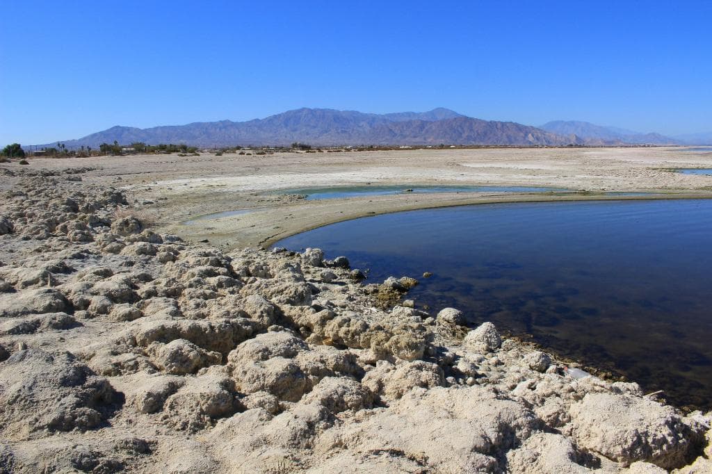 Salton City Beach