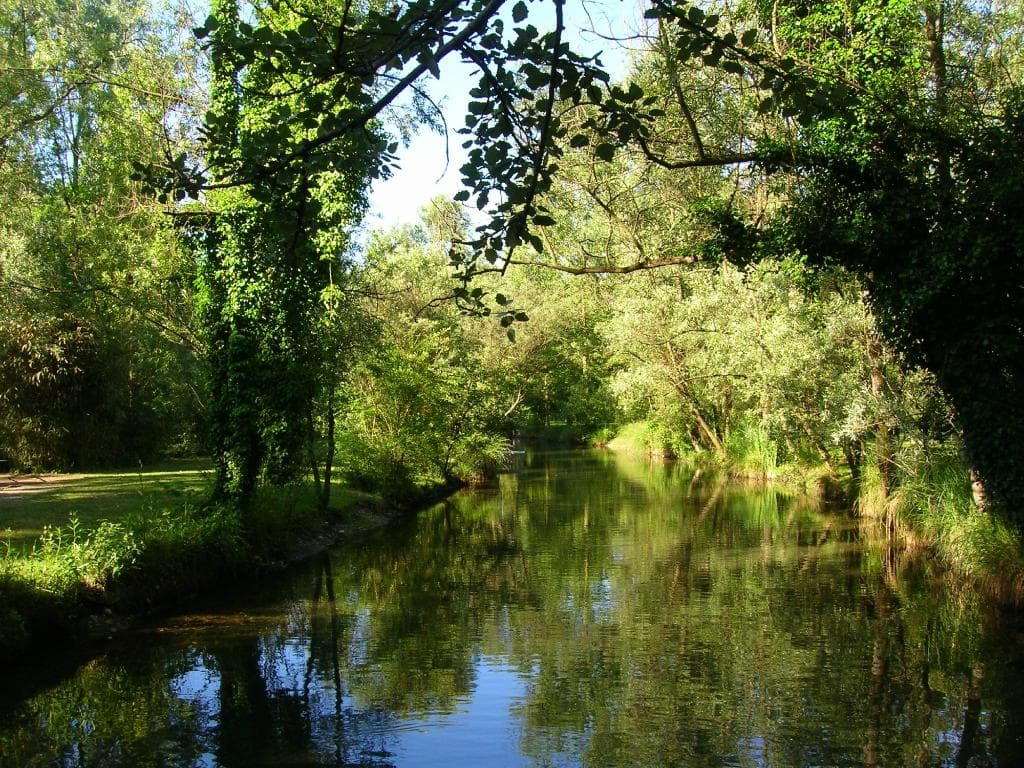 Parco Ittico Paradiso Zelo Buon Persico