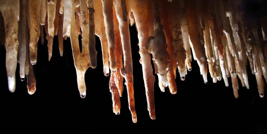 Vintage Tractor & Pottery Exhibits