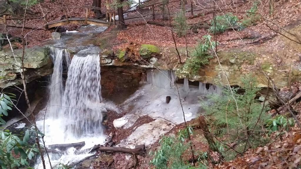 The Trout Stream