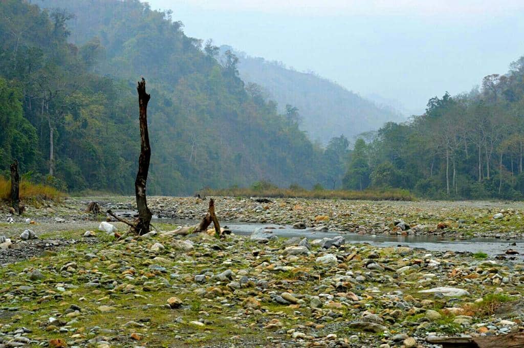 Birdwatching Paradise