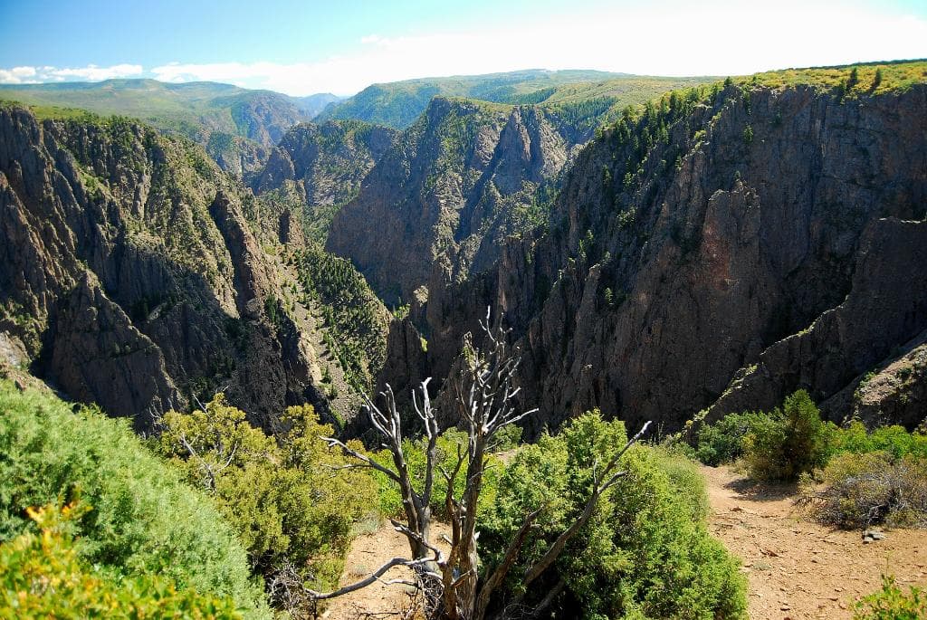 TOMICHI OVERLOOK-BCGNP