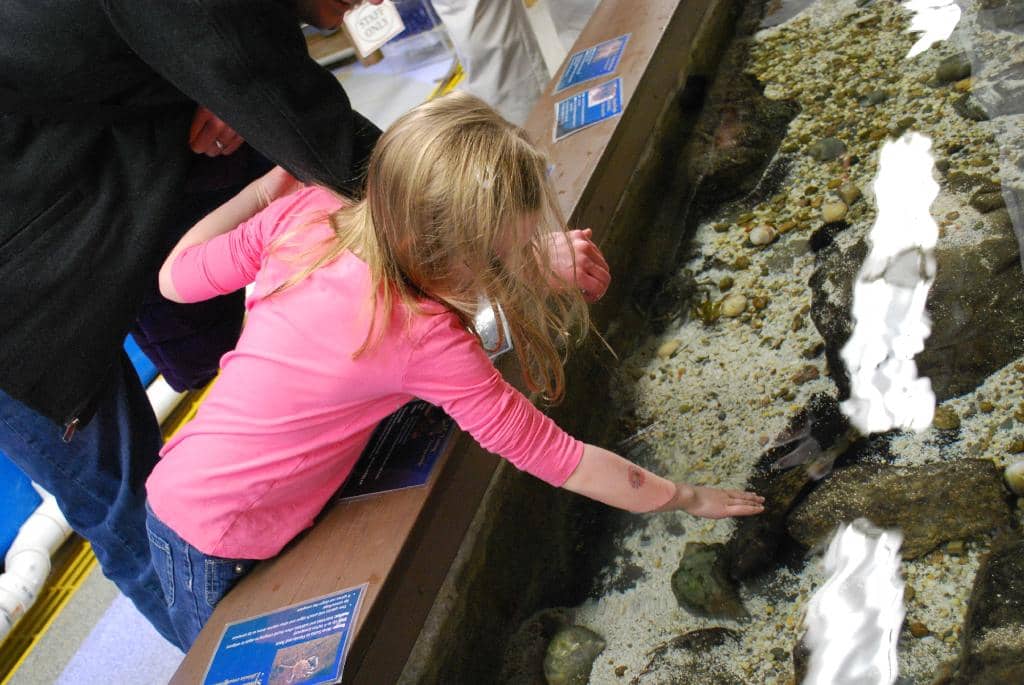 Outdoor Seal Tank