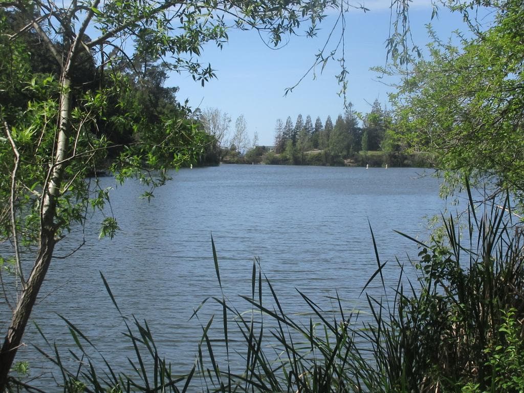 Temescal Regional Recreation Area, Oakland, Ca