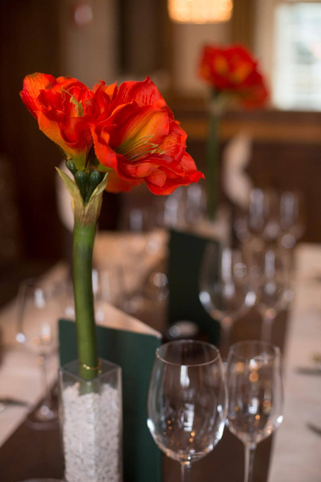 Expansive Dining Experience