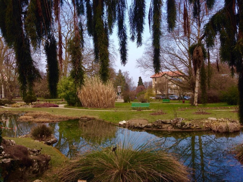 Even in March the nature is beautiful