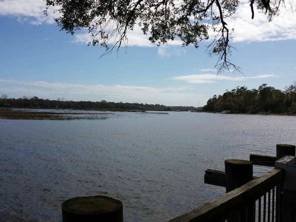 Nature Island Boardwalk