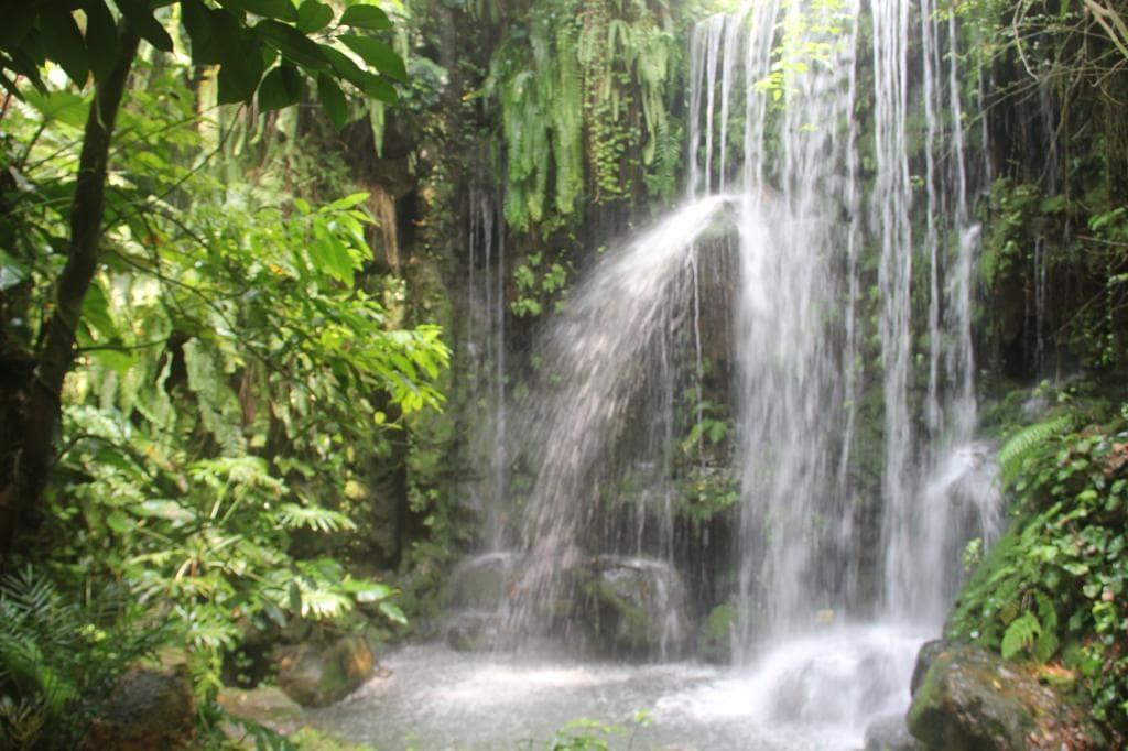 Southern China Botanical Garden