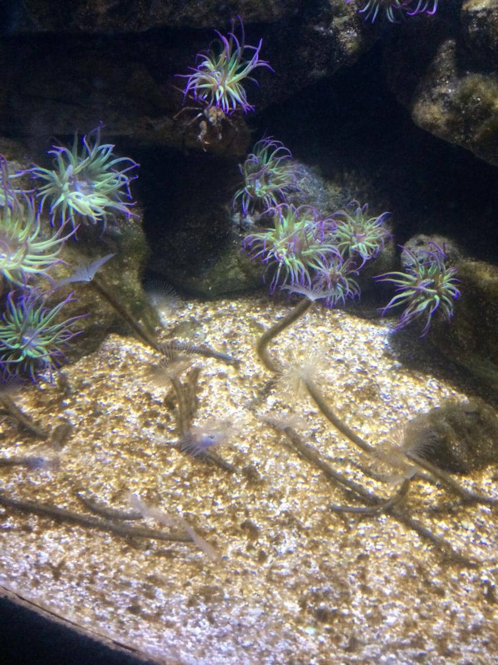 Behind-the-Scenes Sneak Peeks