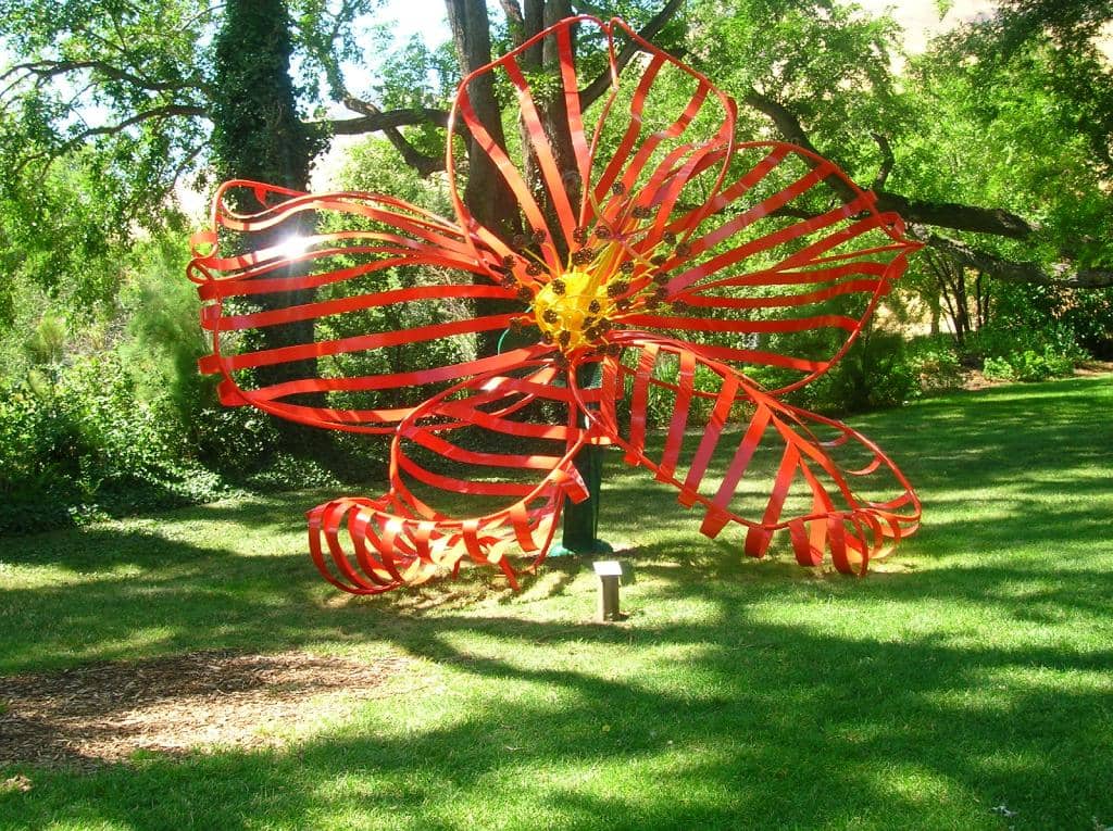 Indigenous Peoples Collection