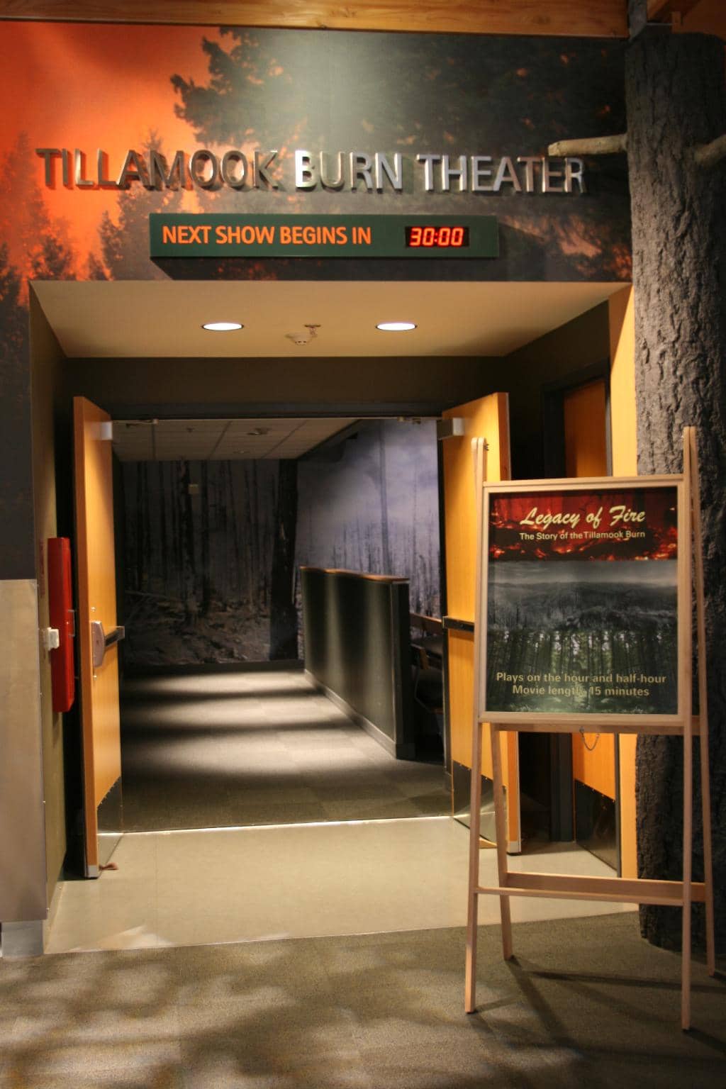 Interactive Forest Exhibits